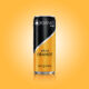 Red Bull Organics Black Orange 0,33l 