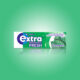 Wrigleys Extra Professional Fresh Spearmint 10 Stk. 